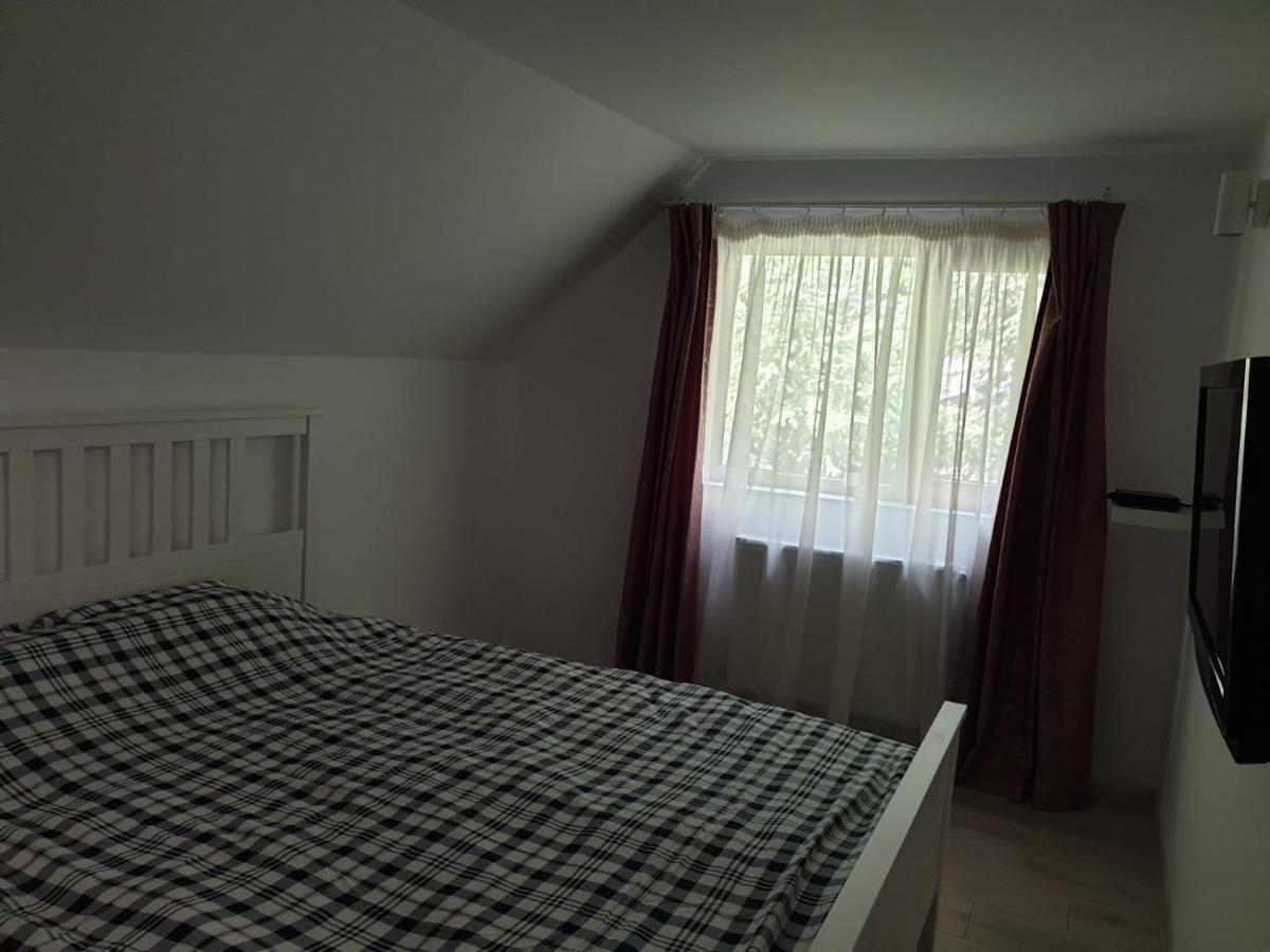Casa Aris Lepsa Vrancea Hotel Екстериор снимка