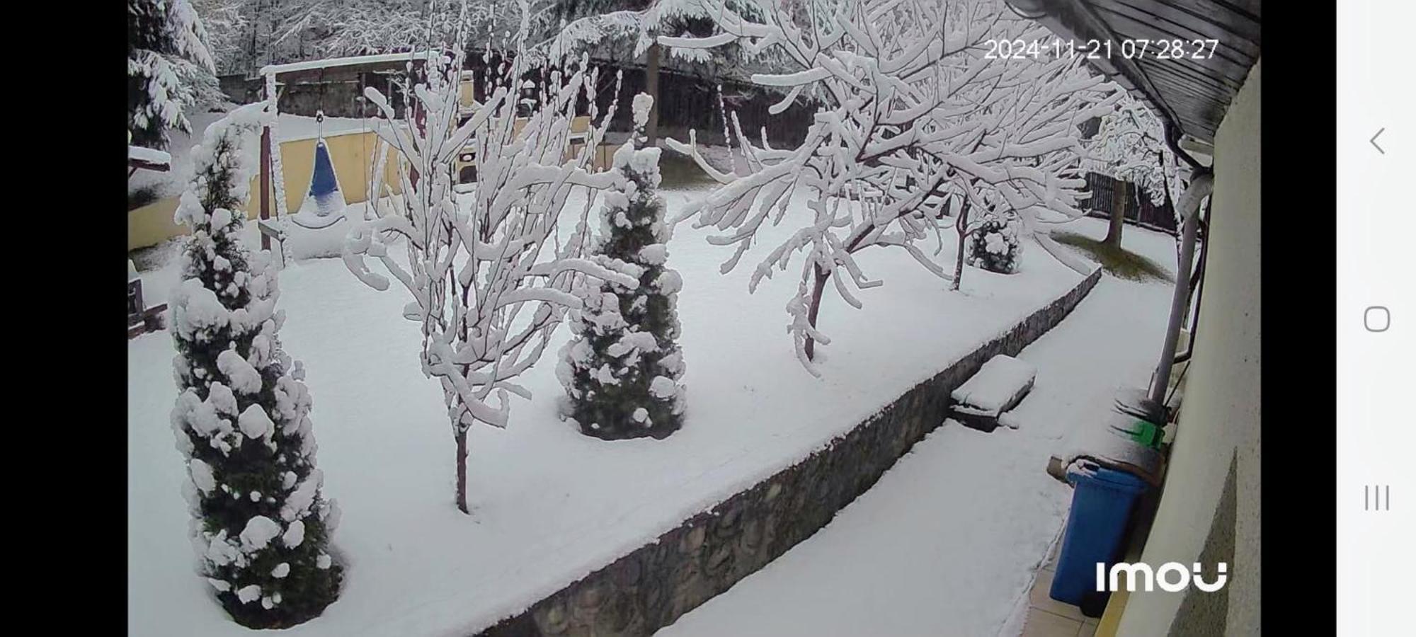 Casa Aris Lepsa Vrancea Hotel Екстериор снимка
