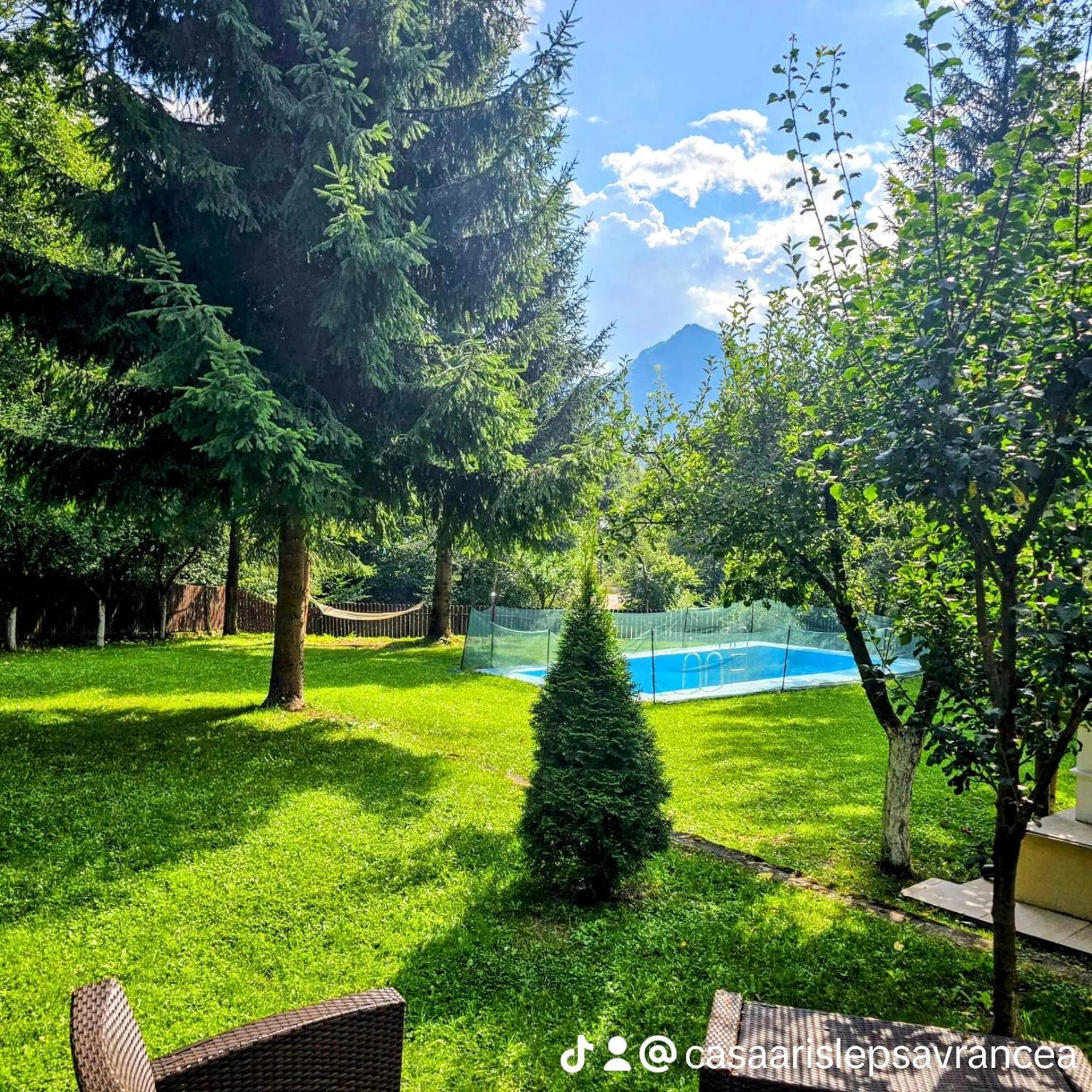Casa Aris Lepsa Vrancea Hotel Екстериор снимка