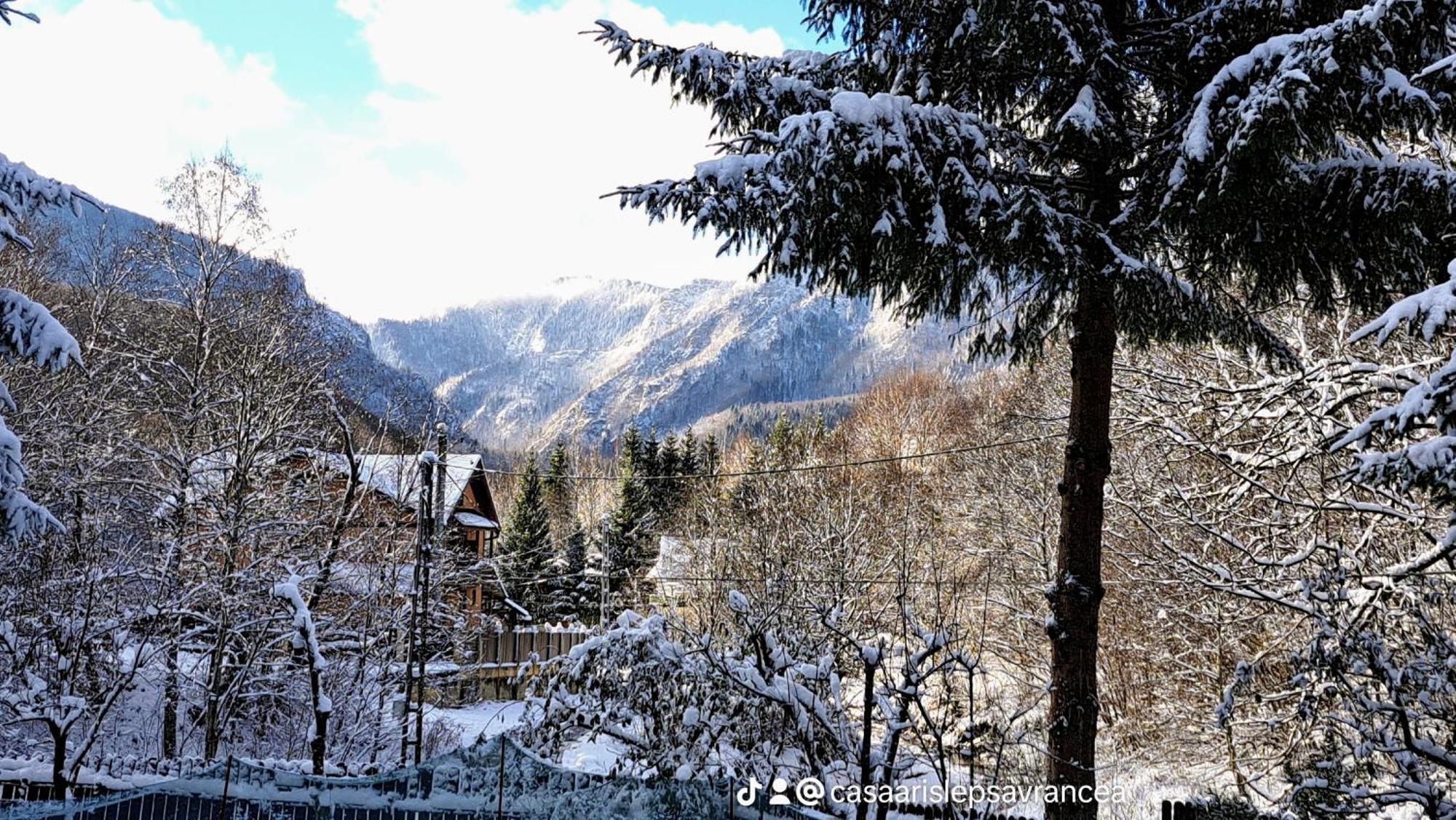 Casa Aris Lepsa Vrancea Hotel Екстериор снимка